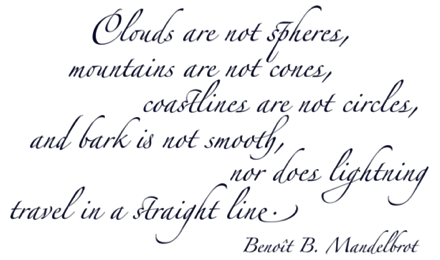 Clouds are not spheres, mountains are not cones, coastlines are not circles, and bark is not smooth, nor does lightning travel in a straight line. Benoit Mandelbrot